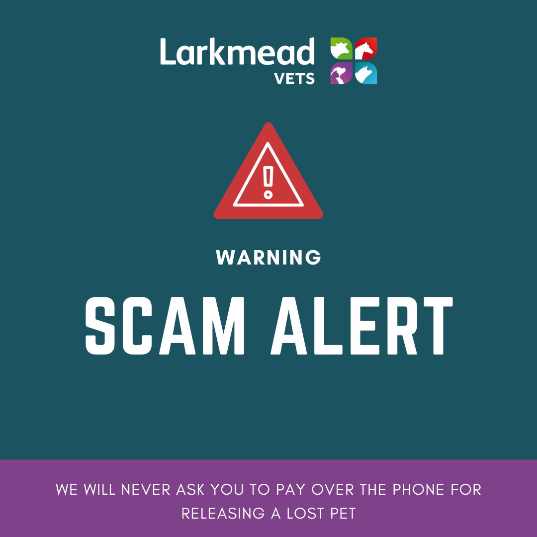 Scam Warning